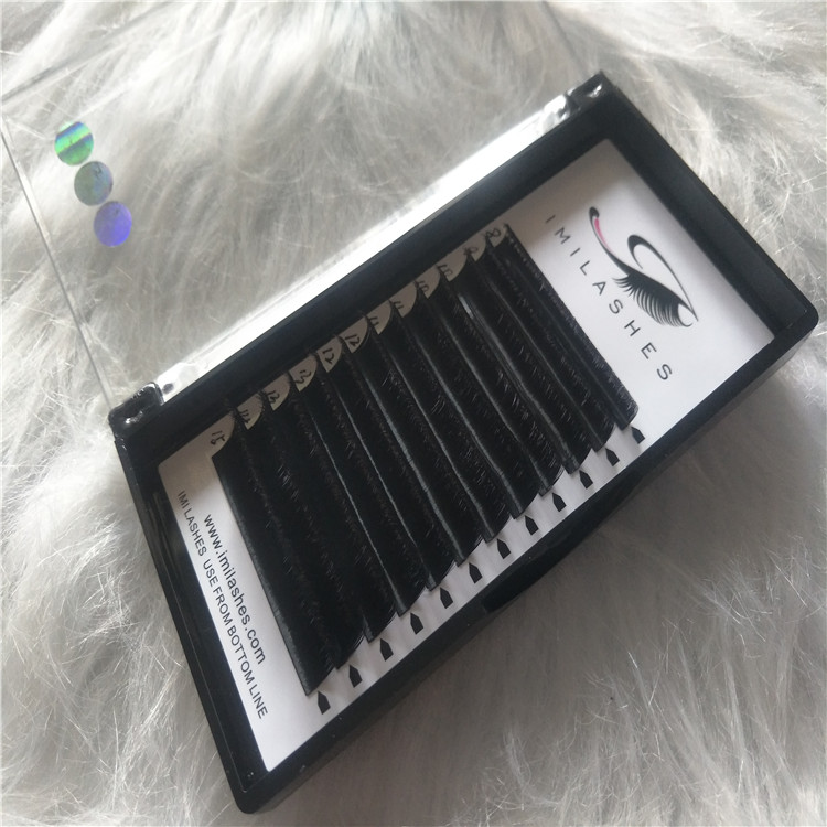 Lashes Distributor Wholesale Easy Fanning Eyelashes with Best Quality